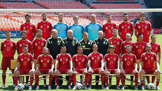 Selección española de fútbol 2014