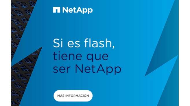 NetApp Flash