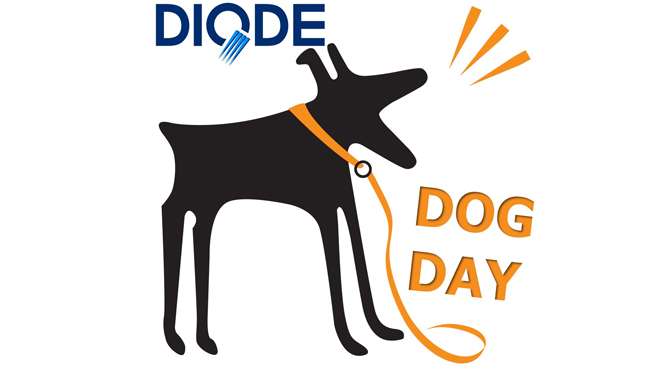 diode_ruckus_dogday